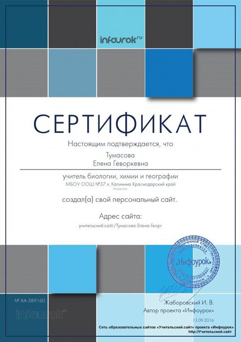 Сертификат проекта infourok.ru № АA-389160
